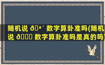 随机说 🪴 数字算卦准吗(随机说 🍀 数字算卦准吗是真的吗)